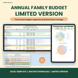 Annual Family Budget (limited Version)